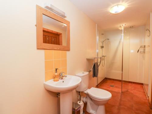 a bathroom with a toilet and a sink and a shower at Larch Cottage in Weem