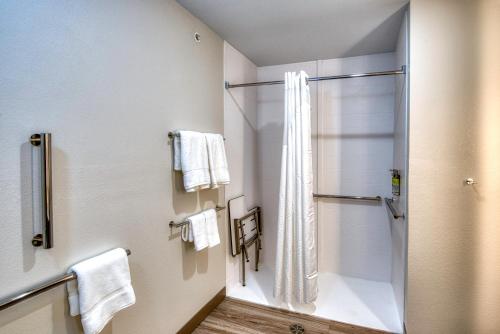 Phòng tắm tại Holiday Inn Express & Suites - Omaha Downtown - Airport, an IHG Hotel
