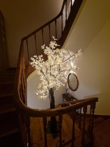 アヴェイロにあるGreen Houseの椅子の花瓶の灯りを持つ木
