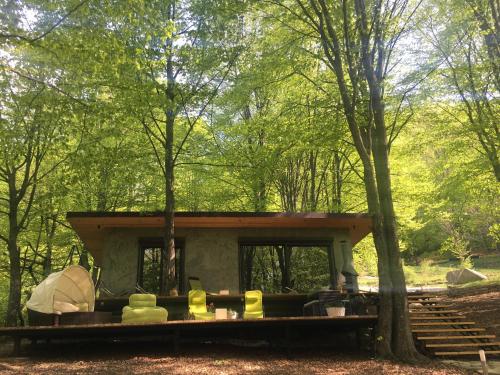 a house in the middle of a forest at Luxury Lake House & Glamping in Teşila