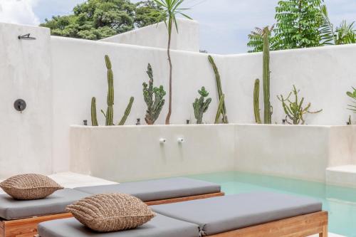 a room with cacti on the wall and a pool at YUCCA villas in Canggu