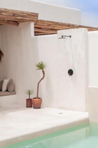 a bathroom with a shower and a potted plant at YUCCA villas in Canggu