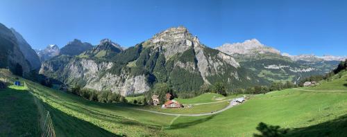 a green hillside with a house and a mountain at Berggasthaus Obbort in Linthal