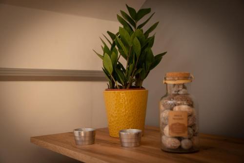 a plant in a vase and a bottle on a shelf at Eliza 1 Birdland Golf Apartman in Bük