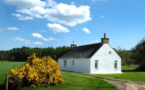 a white house in a field with a tree at Lower Bruntlands in Fochabers