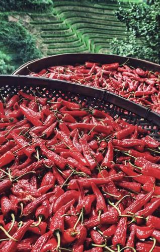 a bunch of red peppers cooking on a grill at Longji Terrace La vie Inn in Longsheng