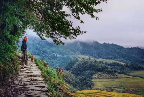 a person standing on a path looking at a mountain at Longji Terrace La vie Inn in Longsheng