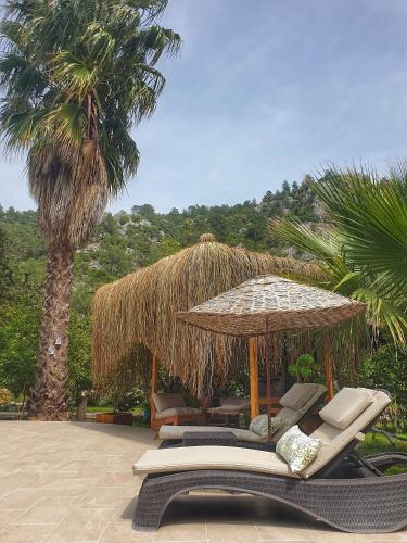 a group of chairs and an umbrella and a palm tree at Portalimo Lodge Hotel - Adult Only +12 in Cıralı