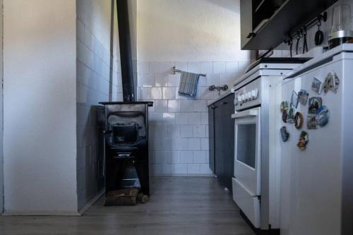 a small kitchen with a stove in a room at JELA Countryside House in Kosjerić