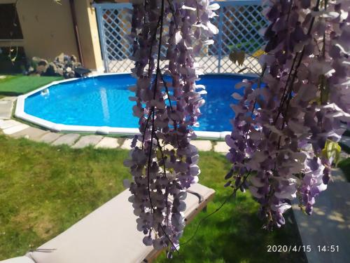 un mazzo di fiori viola vicino alla piscina di Villa Luna Lombarda a Salò