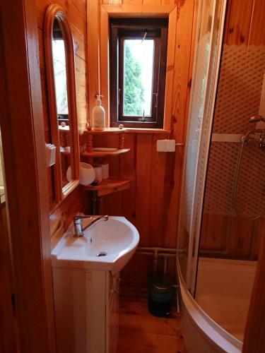 Ванная комната в Małe Mazury