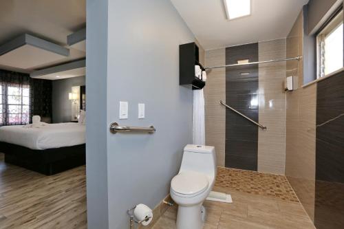 a bathroom with a toilet and a shower and a bed at Historic Waterfront Marion Motor Lodge in downtown St Augustine in Saint Augustine