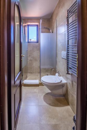 a bathroom with a shower and a toilet and a sink at Noblesse Boutique Resort in Sibiu