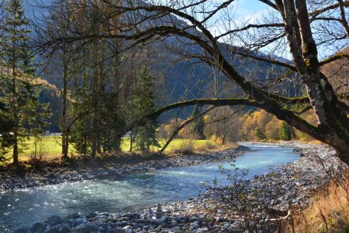 a river in the middle of a forest at Lechtal-Pur-Aparts in Holzgau