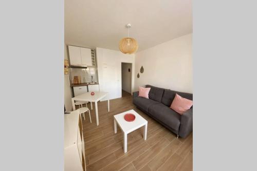 STUDIO CENTRE CANNES PROCHE PLAGES (CONGRES)