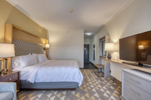 米德爾頓的住宿－西麥迪遜假日酒店，配有一张床和一台平面电视的酒店客房