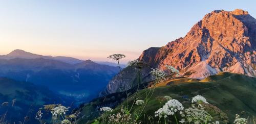 a mountain with a tree on top of it at Soldanella in Lech am Arlberg