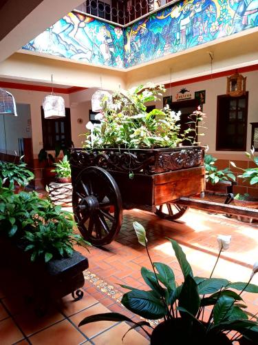 a room with a cart filled with plants at Hotel Regis in Uruapan del Progreso