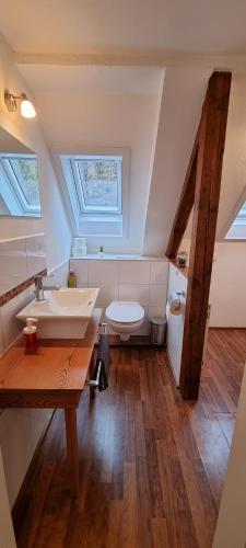 a bathroom with a sink and a toilet at Süße kleine Ferienwohnung in Pirna
