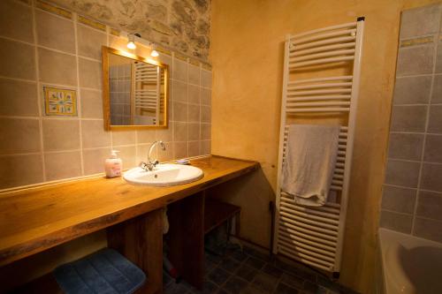 uma casa de banho com um lavatório, um espelho e um chuveiro em Gite d'étape Les Diligences em Roquefixade