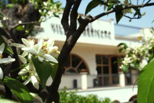 a tree with white flowers in front of a house at Park Hotel Villa Americana in Rodi Garganico