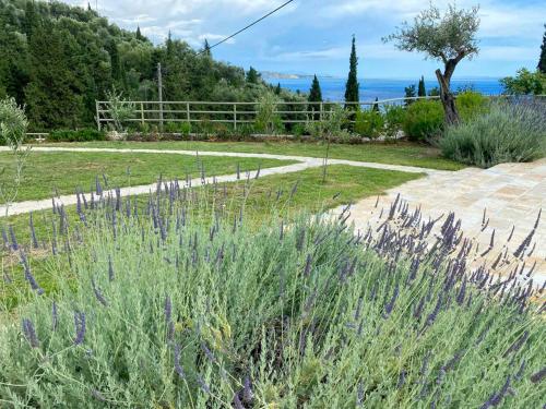 a garden with purple flowers next to a sidewalk at Paleopetres K-Nine - Premium Suite - Kalami - in Kalami