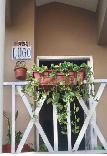 a bunch of potted plants on a white fence at Lugo`s guest room in Punta Cana