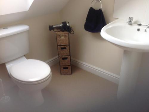 a bathroom with a toilet and a sink at Stone Hill Farm B&B in Shrawley