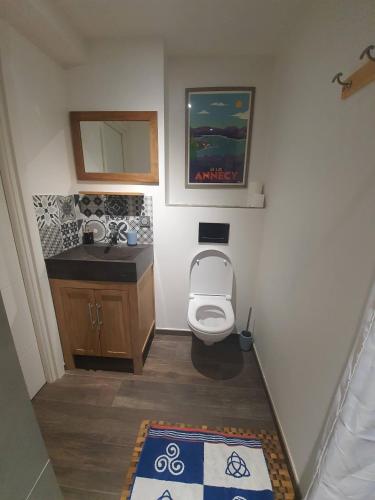 a small bathroom with a toilet and a sink at Studio à la campagne au bout du lac d'Annecy in Doussard