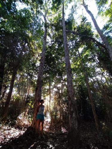a woman standing next to a tree in a forest at Casa Vila Do Outeiro in Praia do Espelho