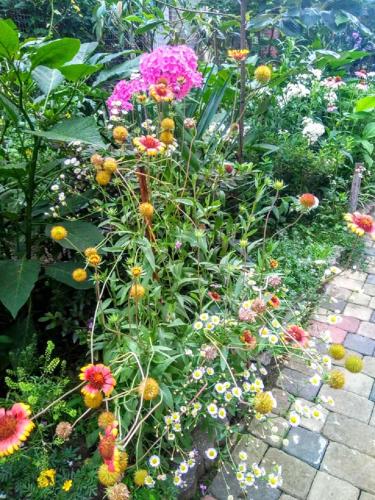 a garden filled with lots of different colored flowers at Batumi Wonderland in Batumi