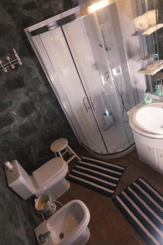 a bathroom with a shower and a toilet and a sink at Baía de Canas Villa in São Roque do Pico