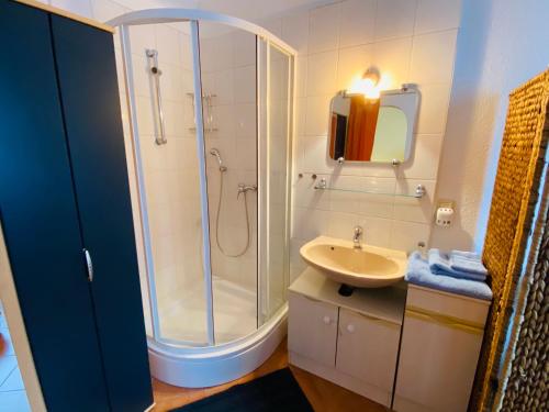 a bathroom with a shower and a sink at Single-Apartment bis 2 Personen, 27qm in Schleusingen, WLAN, Parkplatz in Schleusingen