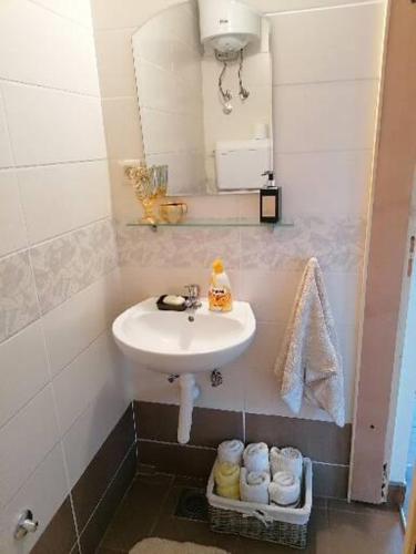 Ένα μπάνιο στο Apartman Gradac Deguric