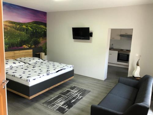 a bedroom with a bed and a tv and a couch at Pension am See in Torgau