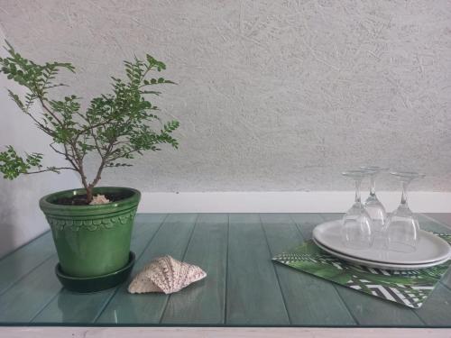 a potted plant on a table with a plate and wine glasses at Sunseabeach in Marzamemi