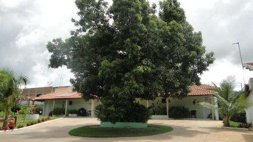 a large tree in front of a building at Pousada Tia Nena in Olímpia