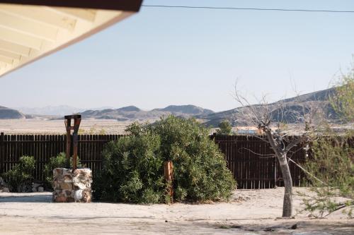 a bush in a yard next to a fence at @ Marbella Lane - The Moon Designer Home right behind the JTNP in Joshua Tree