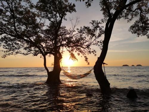 two trees with a hammock on the beach at sunset at Koh Chang Bailan Beach Resort in Ko Chang