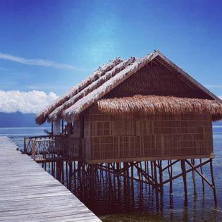 Gallery image of TABARI DIVE LODGE in Pulau Mansuar