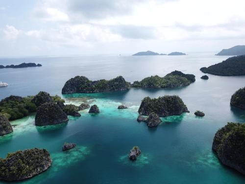 Gallery image of TABARI DIVE LODGE in Pulau Mansuar