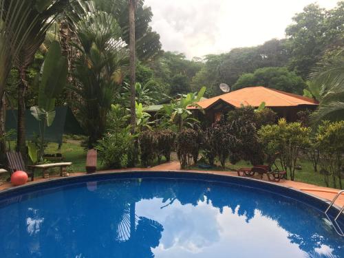 una gran piscina azul en un patio con árboles en Cabinas Coco Lindo en Ojochal