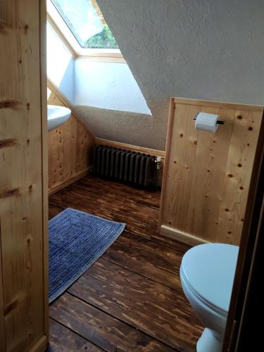 a bathroom with a toilet and a skylight at Gungas in Ādaži