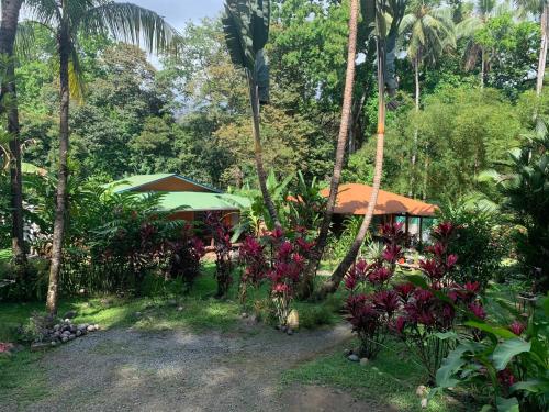 a garden with trees and flowers and a building at Cabinas Coco Lindo in Ojochal