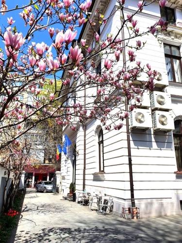 a tree with pink flowers in front of a building at Atrium Hotel Ateneu City Center in Bucharest