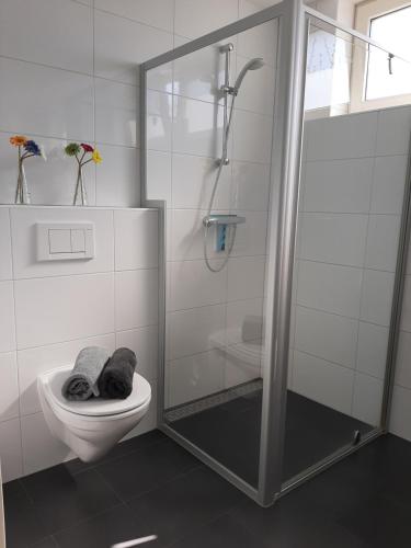 a bathroom with a shower stall and a toilet at Aanloop 34 in Domburg