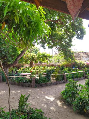 
Jardín al aire libre en Centre Touristique et Culturel Casamance
