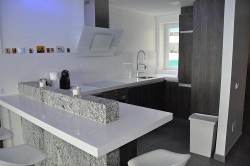 Kuchyňa alebo kuchynka v ubytovaní Magnifique appartement avec une incroyable vue sur mer