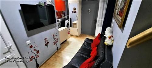 TV a/nebo společenská místnost v ubytování Apart-otel Nino