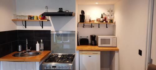 une petite cuisine avec un évier et un micro-ondes dans l'établissement Appartement Arles 35 m2, à Arles
